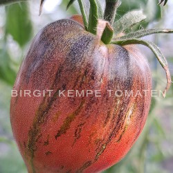 Rebel Starfighter VT 16