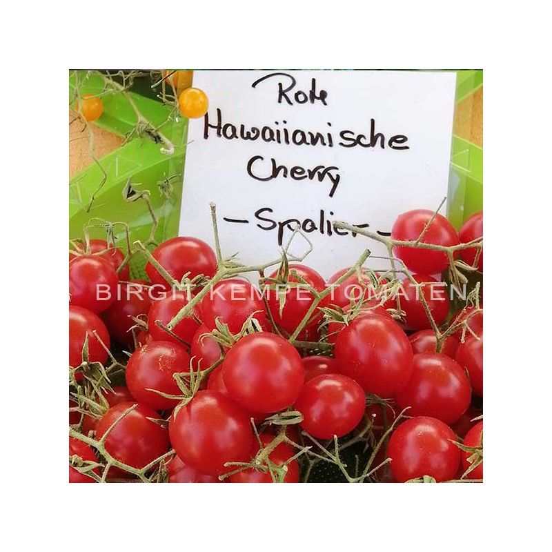 Rote Hawaiianische Cherry