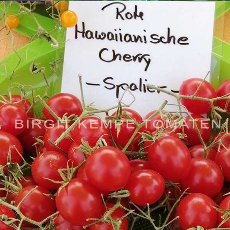 Rote Hawaiianische Cherry